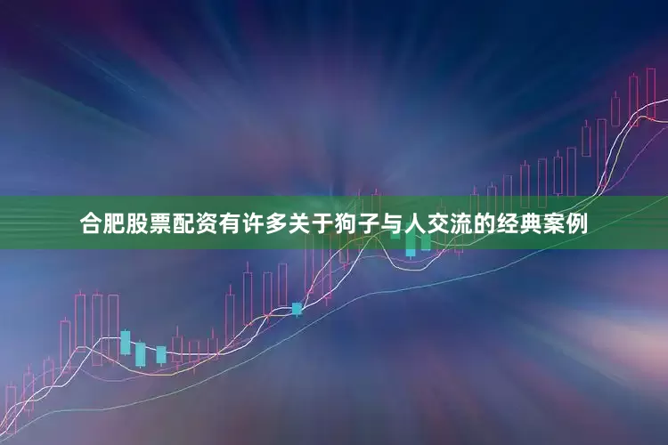 合肥股票配资有许多关于狗子与人交流的经典案例
