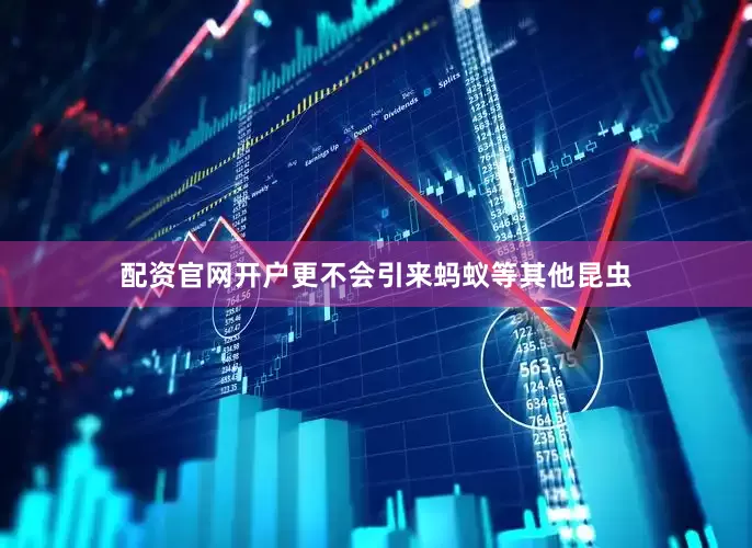 配资官网开户更不会引来蚂蚁等其他昆虫