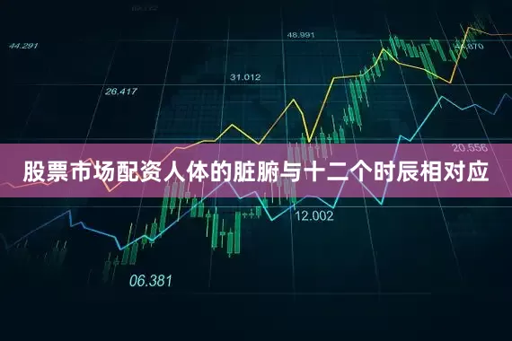 股票市场配资人体的脏腑与十二个时辰相对应